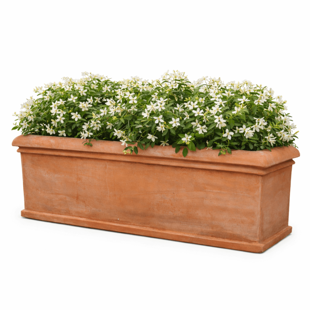 Preview: Grand bac rectangulaire classique en terre cuite d’Impruneta